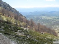 2026-04-18 Velino da S. Maria in Valle 207